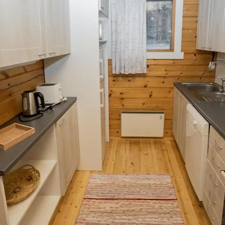 Viipusjaervi 10 By Interhome * Ruka